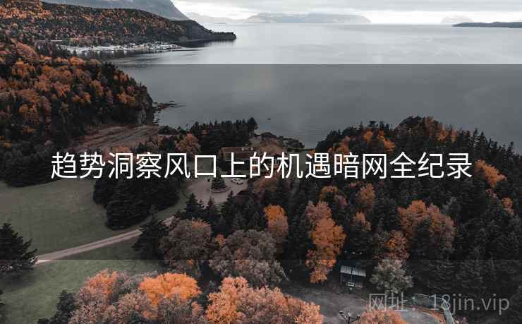 趋势洞察风口上的机遇暗网全纪录