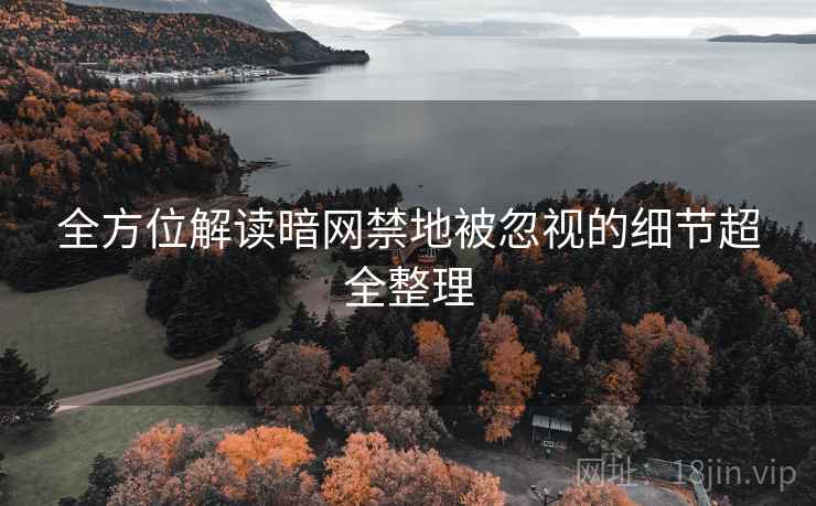 全方位解读暗网禁地被忽视的细节超全整理